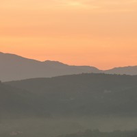 Florence